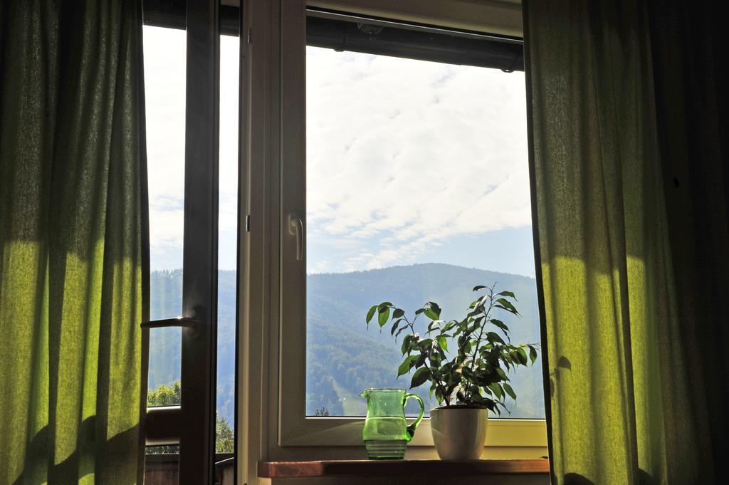 Pokoje Na Skalicy Ustroń Rom bilde